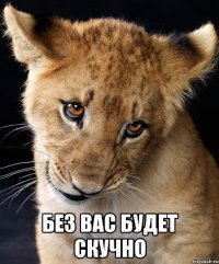  без вас будет скучно