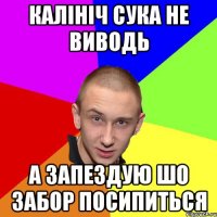 калініч сука не виводь а запездую шо забор посипиться