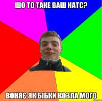 шо то таке ваш натс? воняє як бібки козла мого