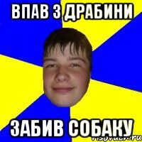 впав з драбини забив собаку