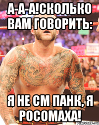А-А-А!СКОЛЬКО ВАМ ГОВОРИТЬ: Я НЕ СМ ПАНК, Я РОСОМАХА!