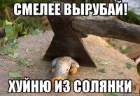 смелее вырубай! хуйню из солянки