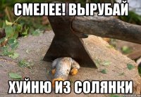 смелее! вырубай хуйню из солянки