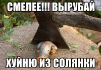 смелее!!! вырубай хуйню из солянки