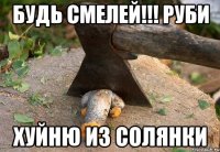 будь смелей!!! руби хуйню из солянки