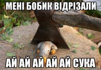 мені бобик відрізали ай ай ай ай ай сука