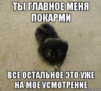 ты главное меня покарми все остальное это уже на мое усмотрение