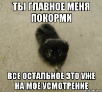 ты главное меня покорми все остальное это уже на мое усмотрение