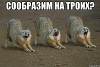 сообразим на троих? 