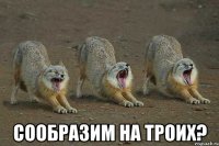  сообразим на троих?