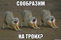 сообразим на троих?
