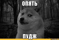 Опять Пудж