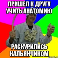Пришел к другу учить анатомию Раскурились кальянчиком