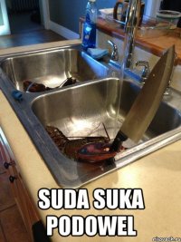  suda suka podowel