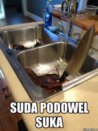  suda podowel suka