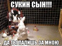 сукин сын!!! да ты палишь за мною