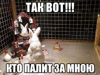 так вот!!! кто палит за мною