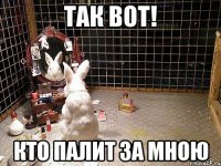 так вот! кто палит за мною