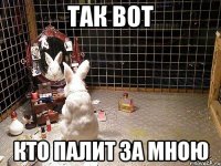 так вот кто палит за мною