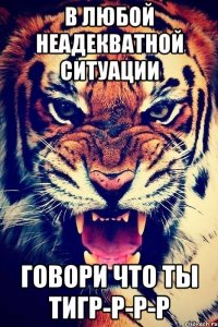 в любой неадекватной ситуации говори что ты тигр-р-р-р
