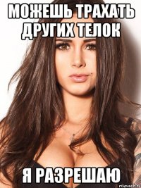 можешь трахать других телок я разрешаю