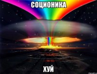 Соционика Хуй