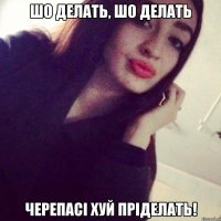 шо делать, шо делать черепасі хуй пріделать!