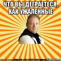 что вы деграетеся, как ужаленные 