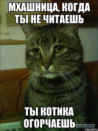 мхашница, когда ты не читаешь ты котика огорчаешь