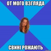 от мого взгляда свині рожають