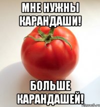 мне нужны карандаши! больше карандашей!