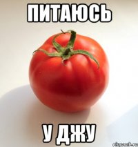 питаюсь у джу