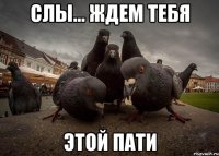 СЛЫ... ЖДЕМ ТЕБЯ ЭТОЙ ПАТИ