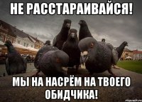не расстараивайся! мы на насрём на твоего обидчика!