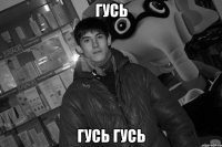 Гусь Гусь гусь