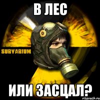 В лес или засцал?