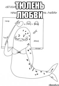 тюлень любви 