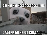 Эй ДЕНИИИИИИИСССССССССС!!!!!!!!! Забери меня от сюда!!!!!!