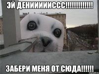 Эй Дениииииссс!!!!!!!!!!!!! Забери меня от сюда!!!!!!