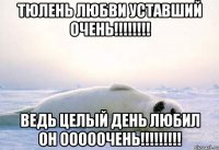 Тюлень любви уставший очень!!!!!!!! Ведь целый день любил он ОООООЧЕНЬ!!!!!!!!!