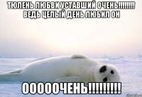 Тюлень любви уставший очень!!!!!!!! Ведь целый день любил он ОООООЧЕНЬ!!!!!!!!!