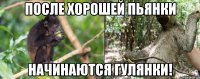 после хорошей пьянки начинаются гулянки!