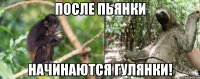 после пьянки начинаются гулянки!