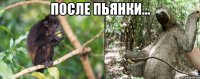 после пьянки... 