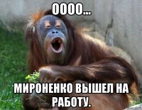оооо... мироненко вышел на работу.