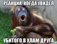 реакция, когда увидел убитого в хлам друга