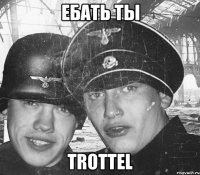 ебать ты trottel