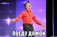  поеду домой