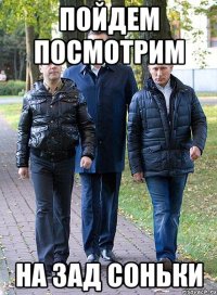 Пойдем посмотрим на зад соньки