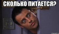 Сколько питается? 